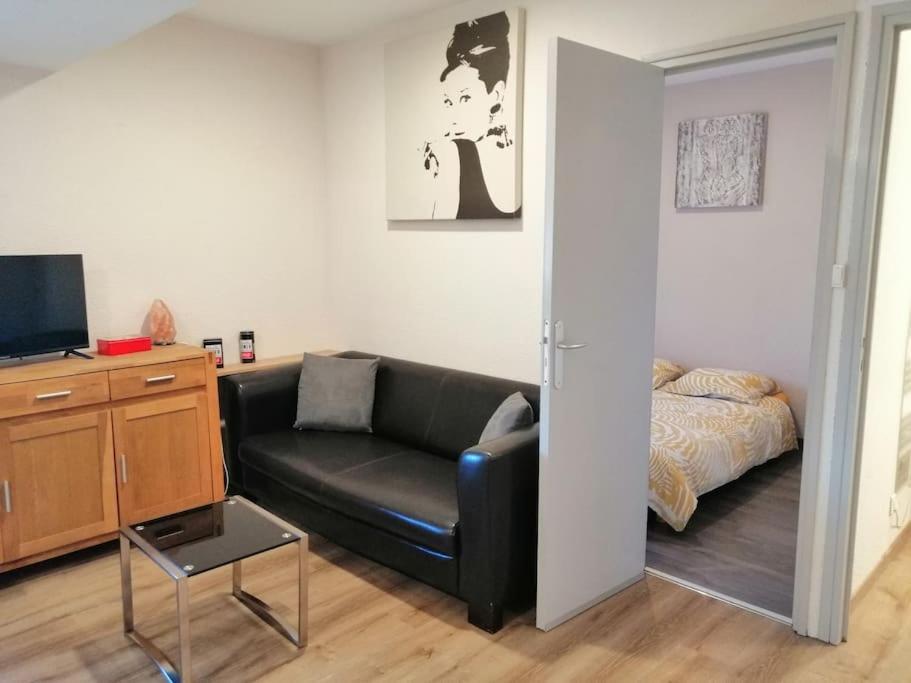 Joyeuse, Superbe D'environs 30m2. Apartment Joyeuse