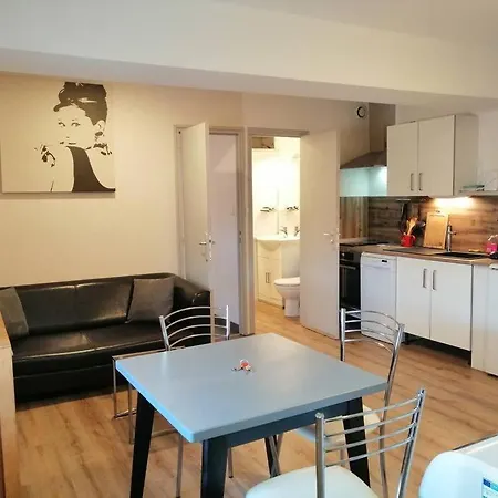 Joyeuse, Superbe Appartement D'Environs 30M2. Buitenkant foto